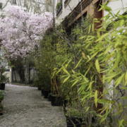passage parisiens, shooting Paris