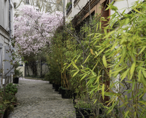 passage parisiens, shooting Paris