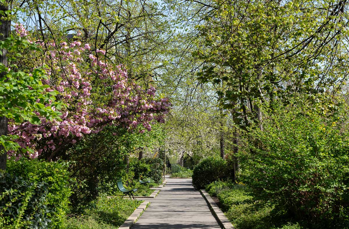 shooting Paris, Photographe Paris
